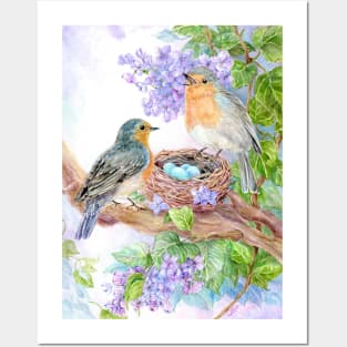 Robins with Nest and Eggs Posters and Art